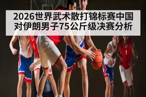 2026世界武术散打锦标赛中国对伊朗男子75公斤级决赛分析